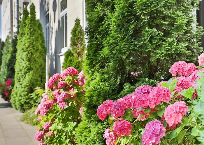 Aparthotel Berne